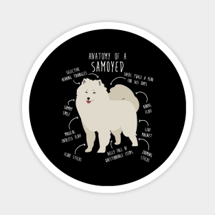 Samoyed Dog Anatomy Magnet